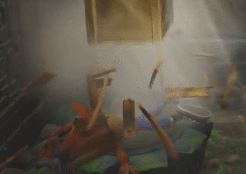 CrashCrush.gif