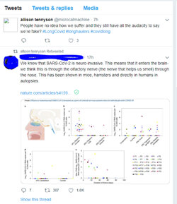 Screenshot_20210704-212709_Chrome.jpg