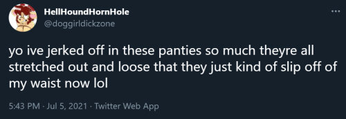doggirldickzonetranny1.jpg