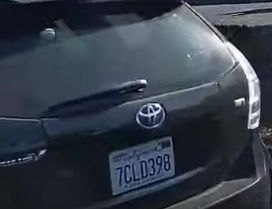 bronyplate.PNG