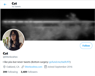 cat1.png
