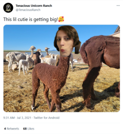 lilcutie.png