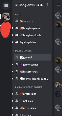 Screenshot_20210708-125044_Discord.jpg