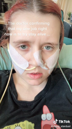 1625853063332.png
