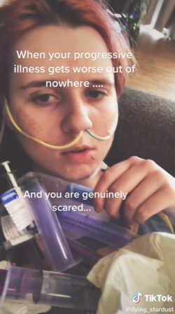 1625853266531.png