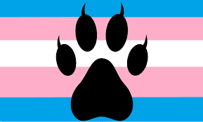 22913557-1F35-44E5-9134-75AE5BA2800D.png