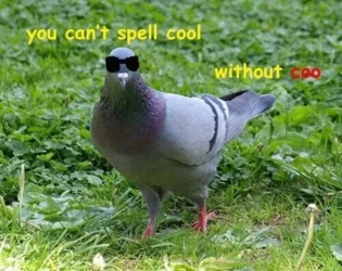 1625963837859.png