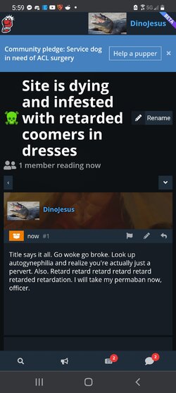 Screenshot_20210711-175901_Chrome.jpg