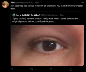 ppp8.png