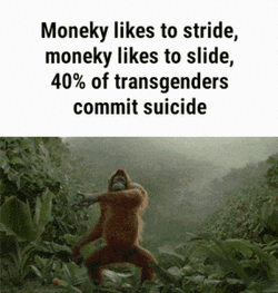 950CFB7B-54AA-4B5F-97D1-3B5AF65350A3.gif