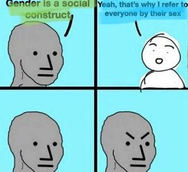 unknown-4.jpeg