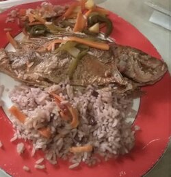 CFoodplate2.jpg