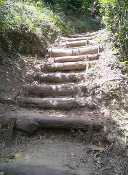 CWalkway.jpg