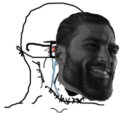 soy5.png