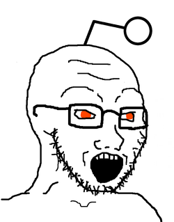soy6.png