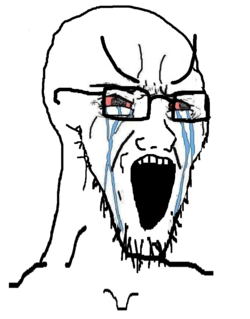 soy7.png