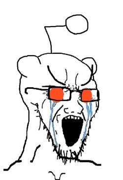 soy17.jpg