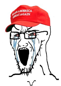 soy31.jpg