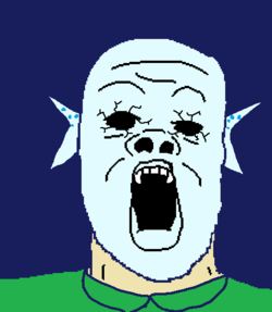 soy73.png