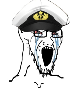 soy85.png