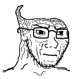 soy113.png