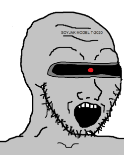 soy114.png