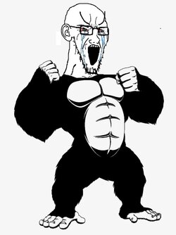 soy115.jpg