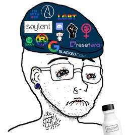soy127.jpg