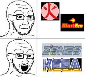 soy133.jpg