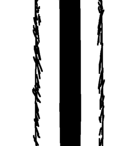 soy178 (2).png