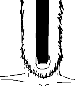 soy179 (2).png