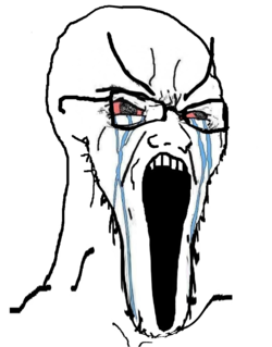 soy190.png