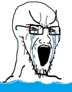 soy204.png