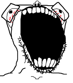 soy208 (2).png