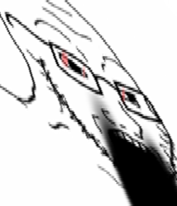 soy209 (2).png