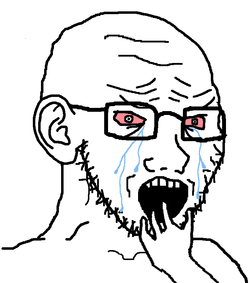 soy210.png