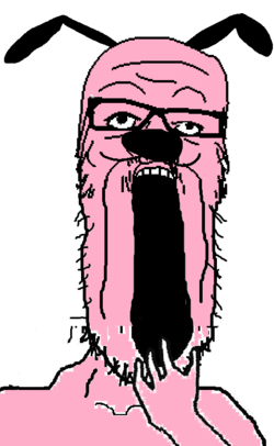 soy229.PNG
