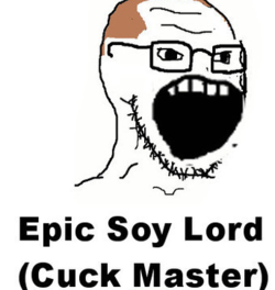 soy238.PNG