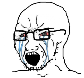 soy243.PNG