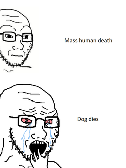 soy245.PNG