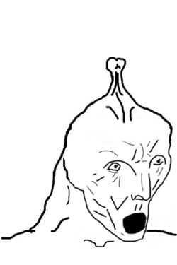 soy246 (2).png