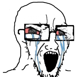 soy246.PNG