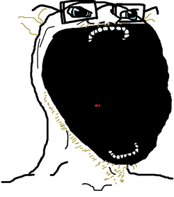 soy271.png