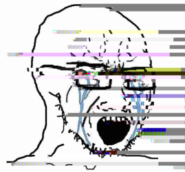 soy274.png