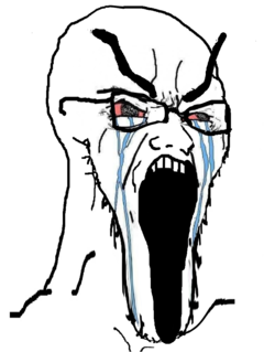 soy282.png