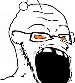 soy283.png