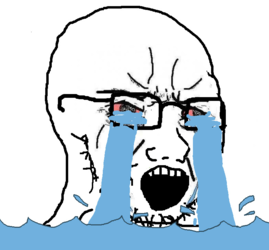 soy286.png