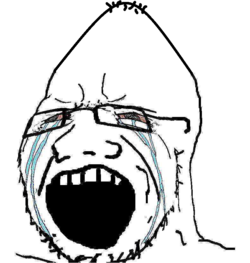 soy297.png