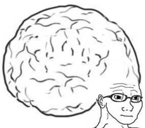 soy306.png