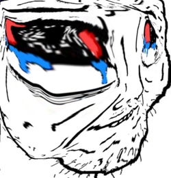 soy317.png